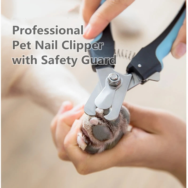 Claw Care & Grooming Tools