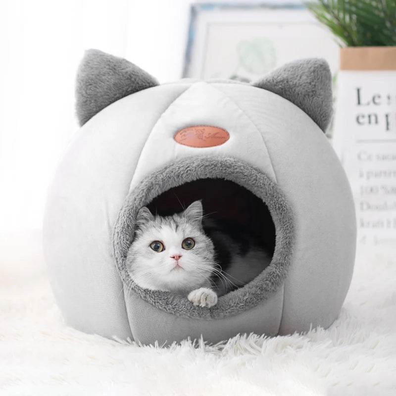Beds & Sleep Comfort