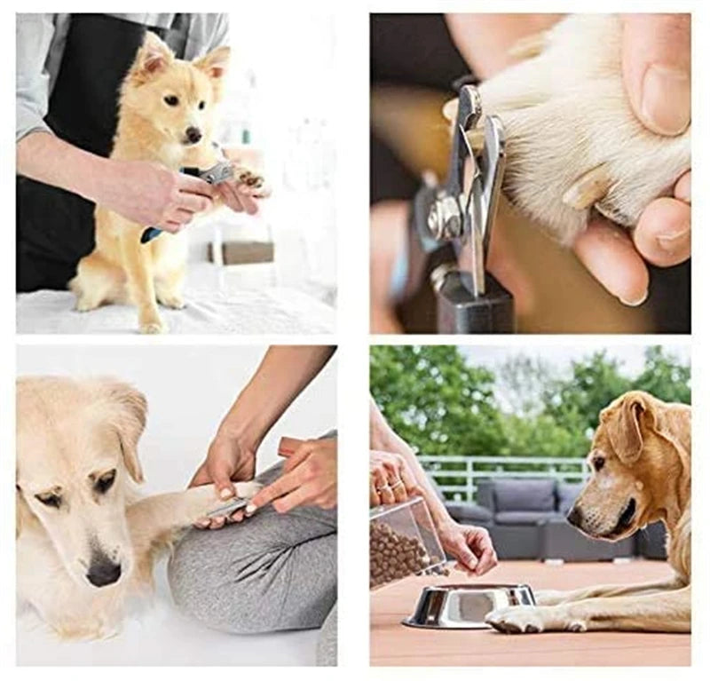 Claw Care & Grooming Tools