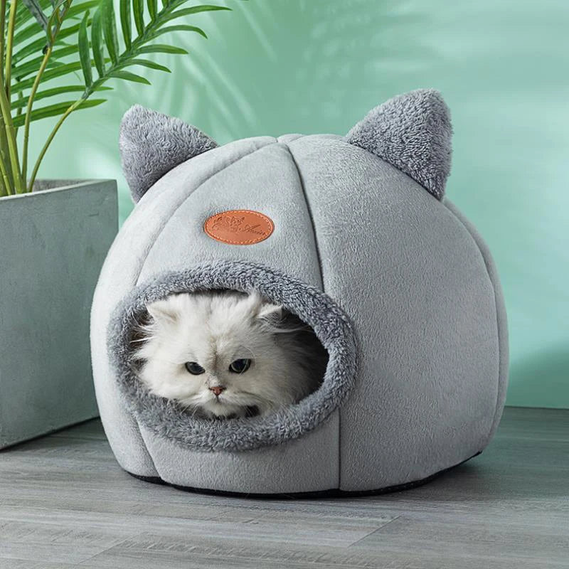 Beds & Sleep Comfort