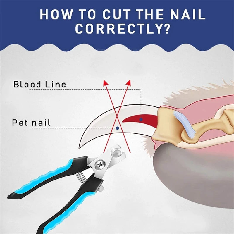 Claw Care & Grooming Tools