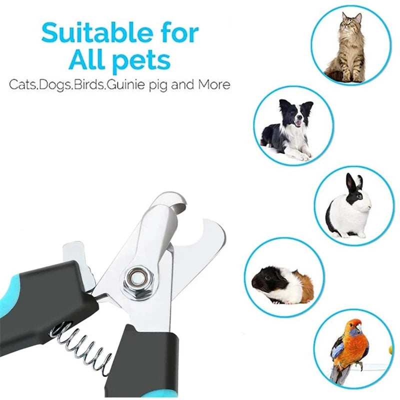 Claw Care & Grooming Tools