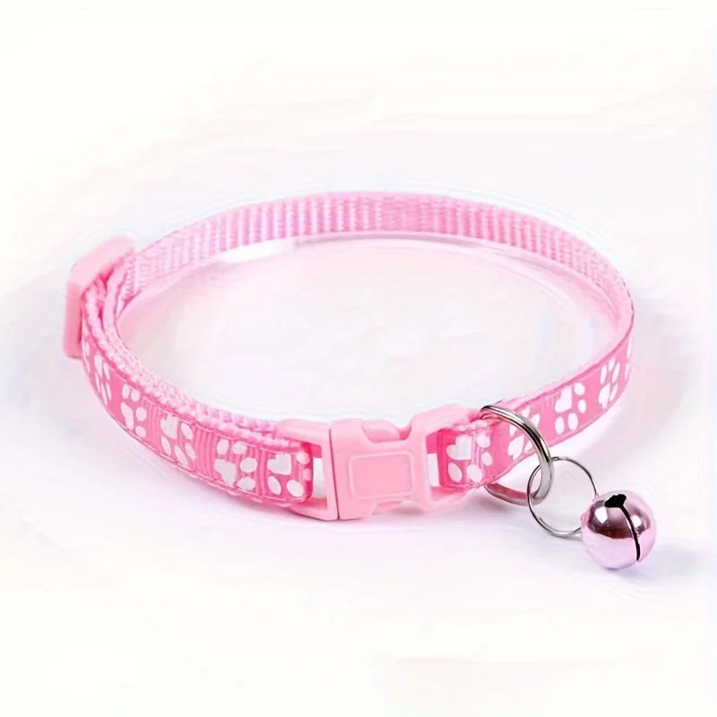 Collars & Safety Accessories