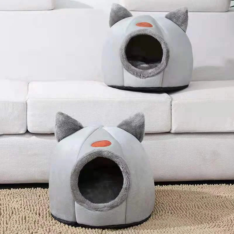 Beds & Sleep Comfort