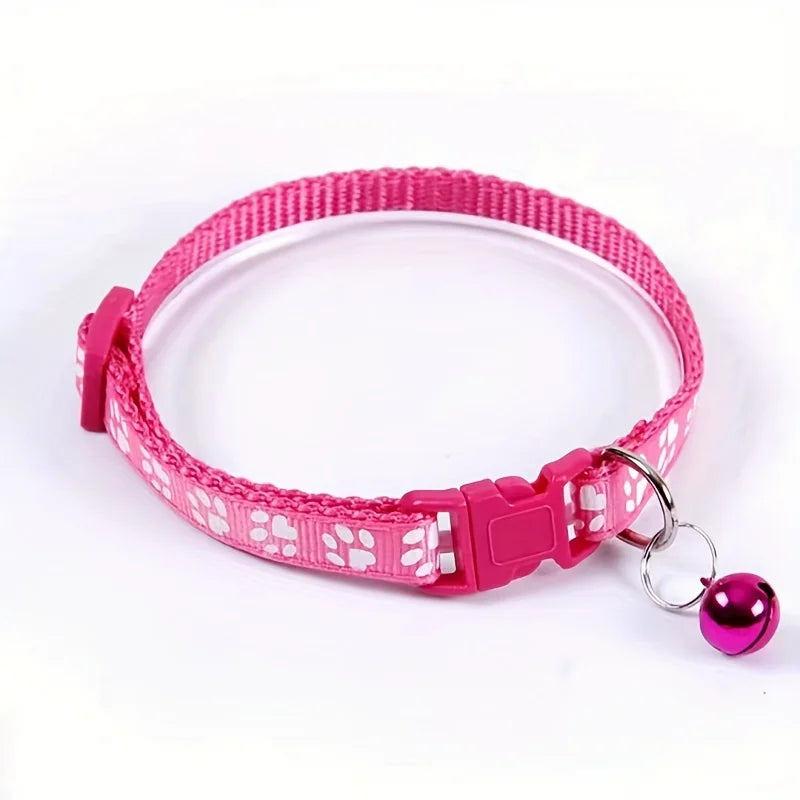Collars & Safety Accessories