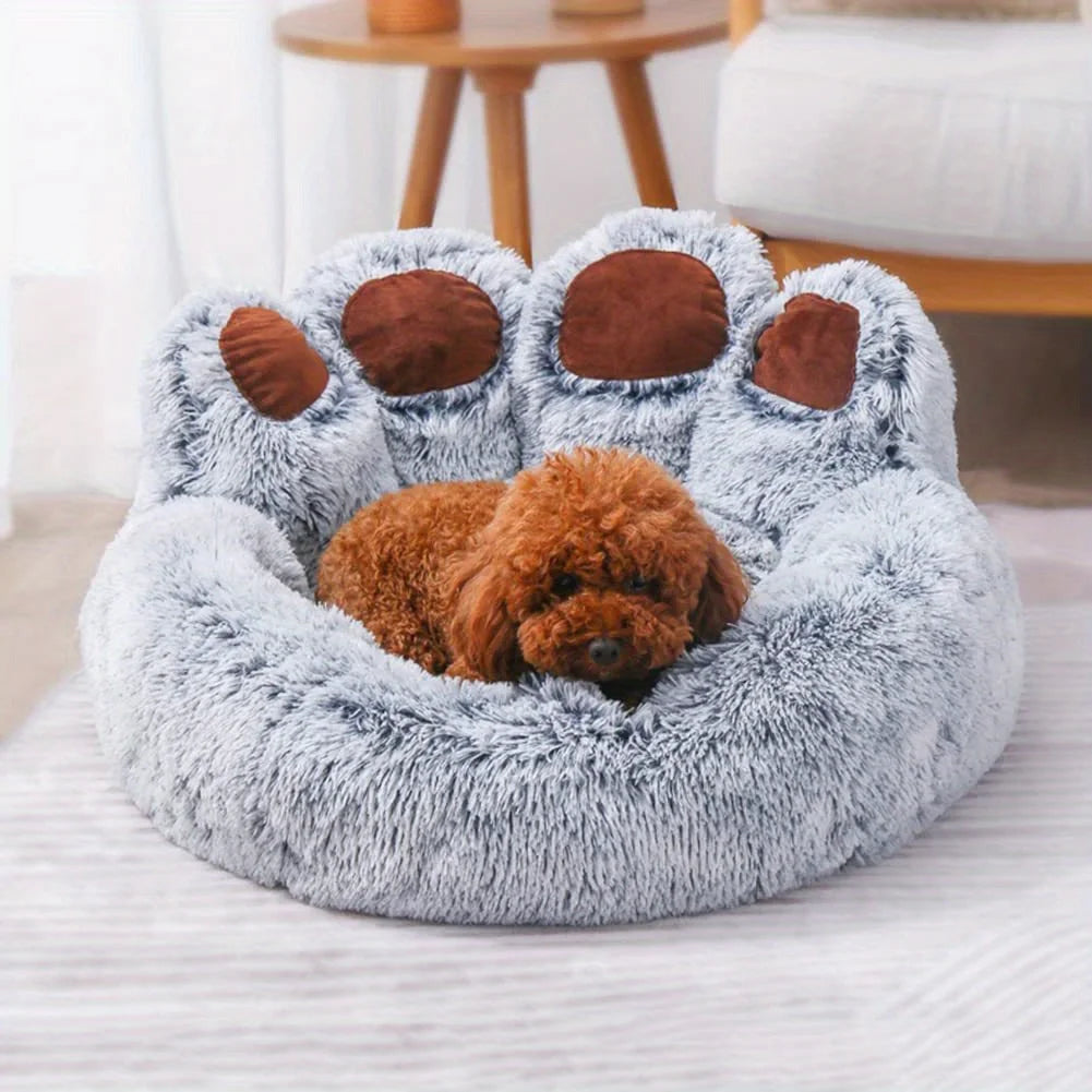 Beds & Sleep Comfort