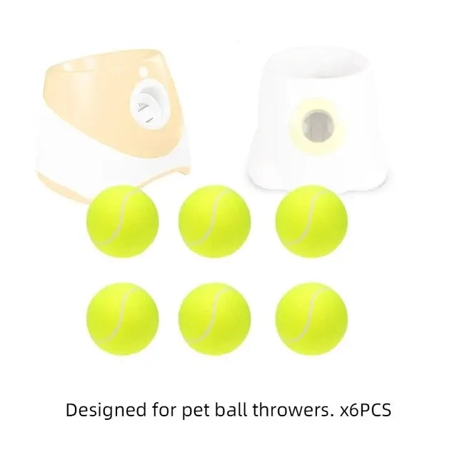 Interactive Toys & Outdoor Fun