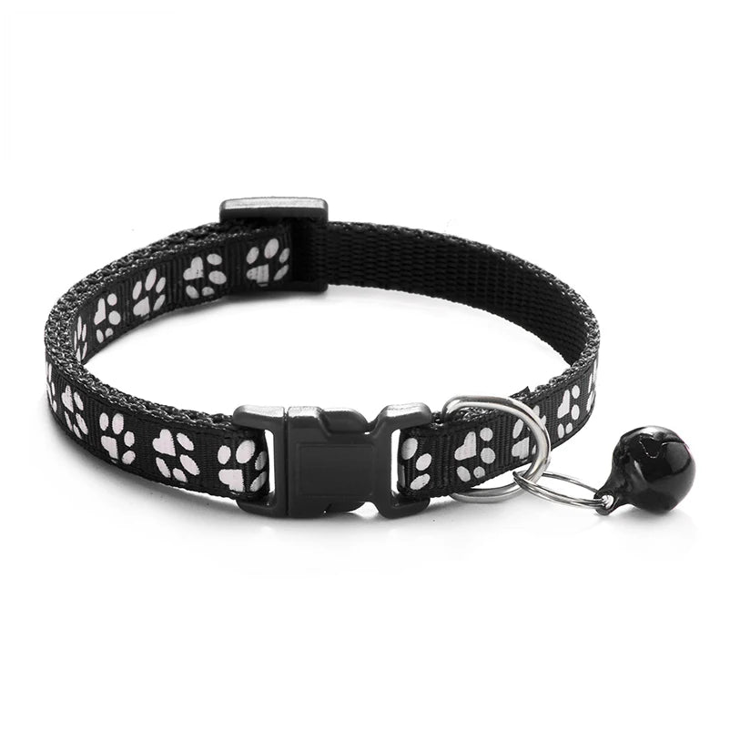 Collars & Safety Accessories
