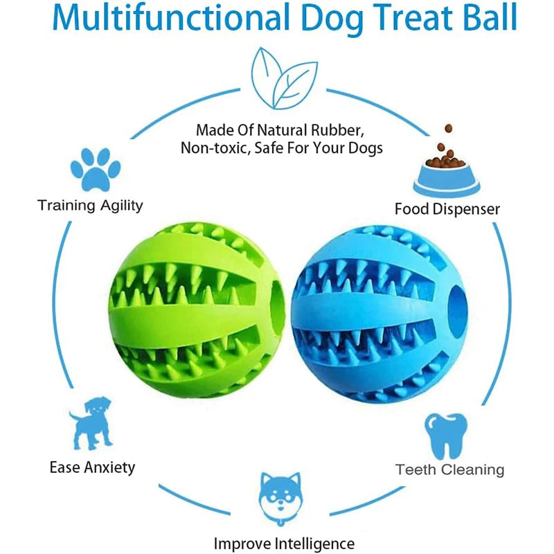 Interactive Toys & Dental Chew