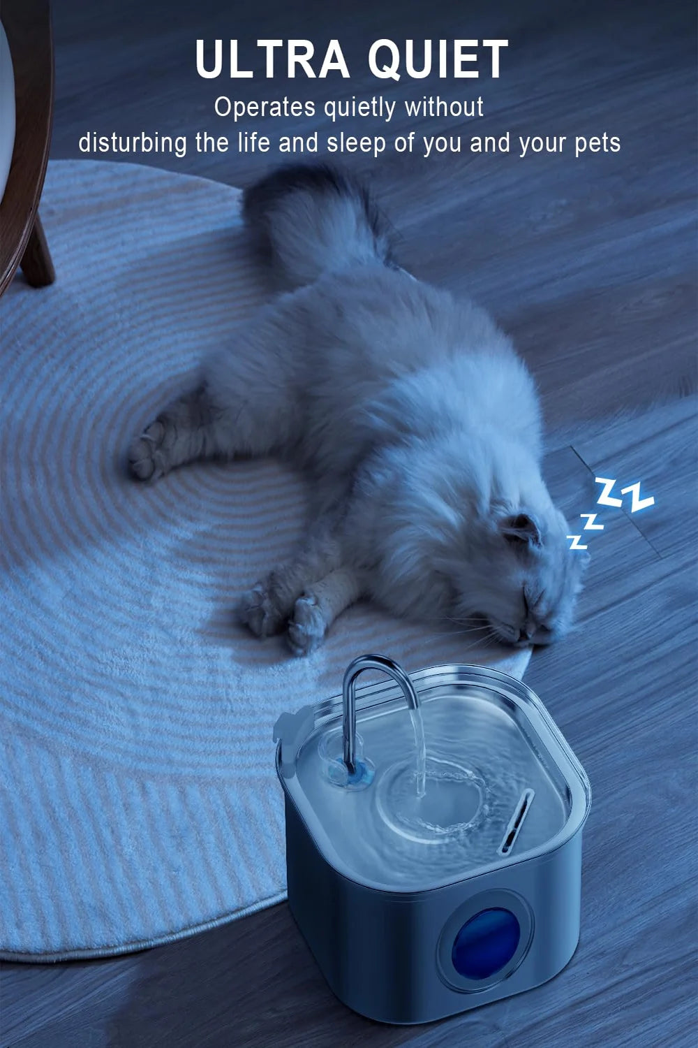 Hydration & Wellness Essentials