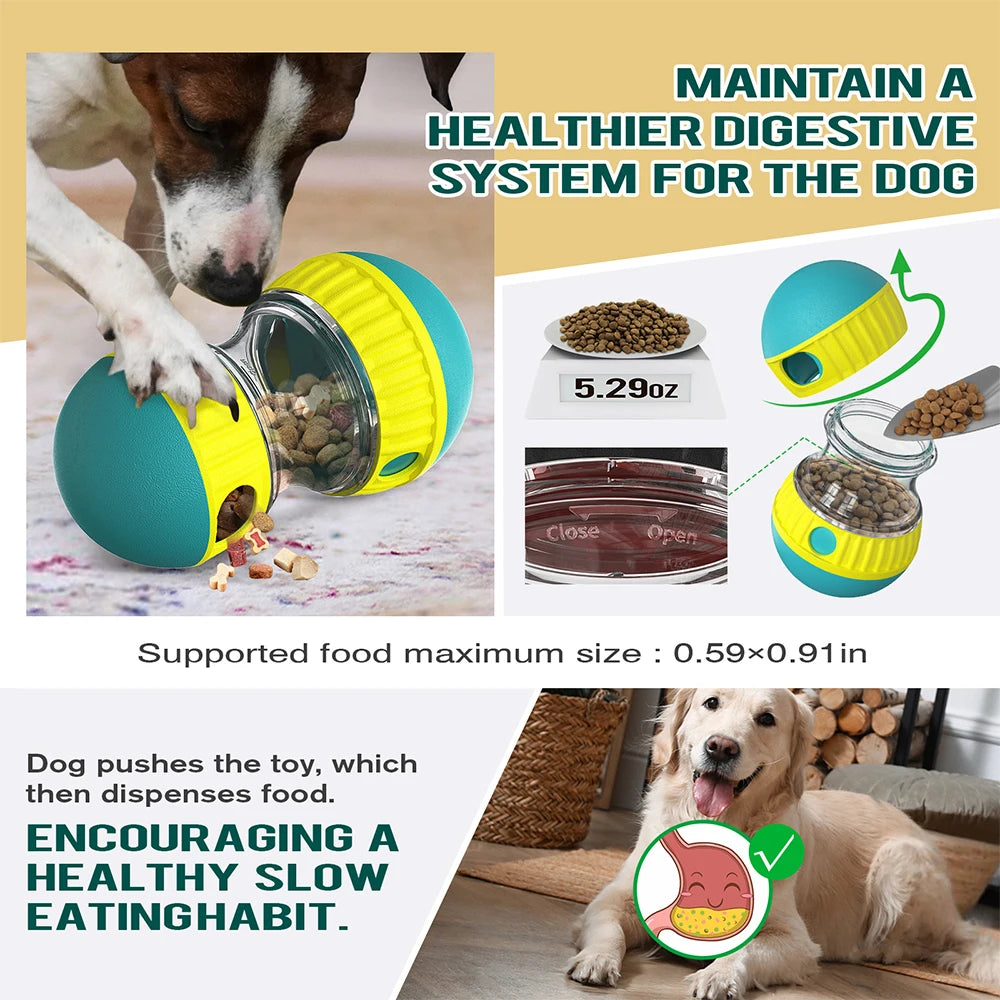 Interactive Toys & Slow-Feed Enrichment