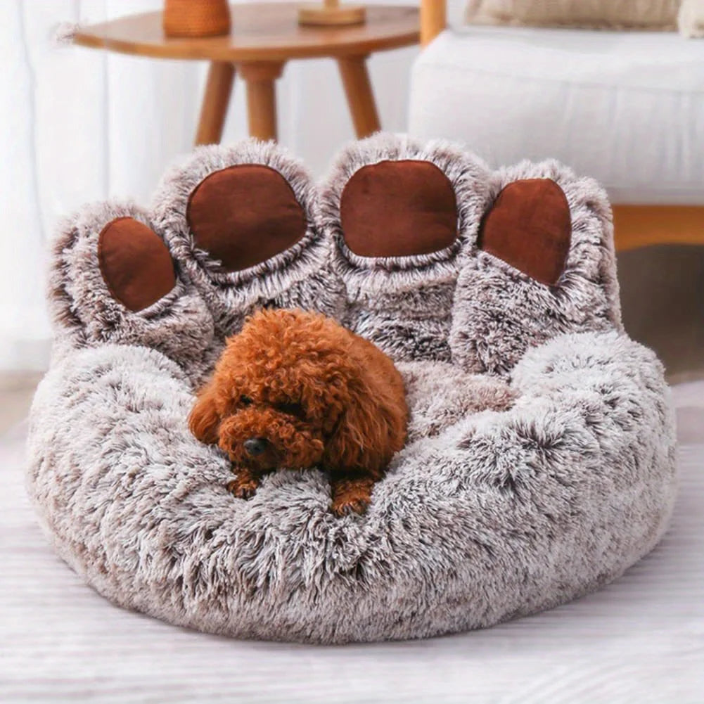 Beds & Sleep Comfort