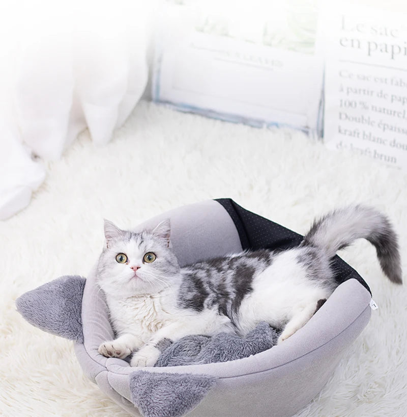 Beds & Sleep Comfort