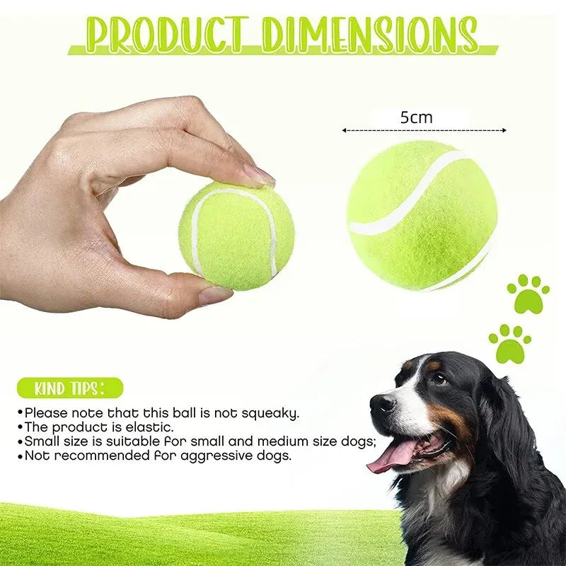 Interactive Toys & Outdoor Fun