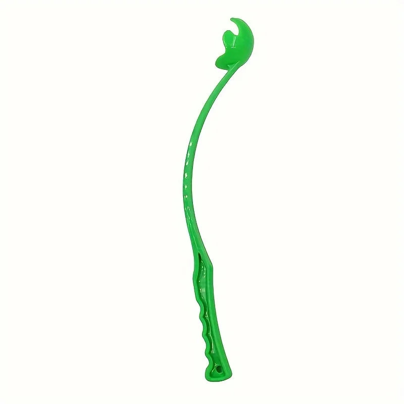 Interactive Toys & Outdoor Fun