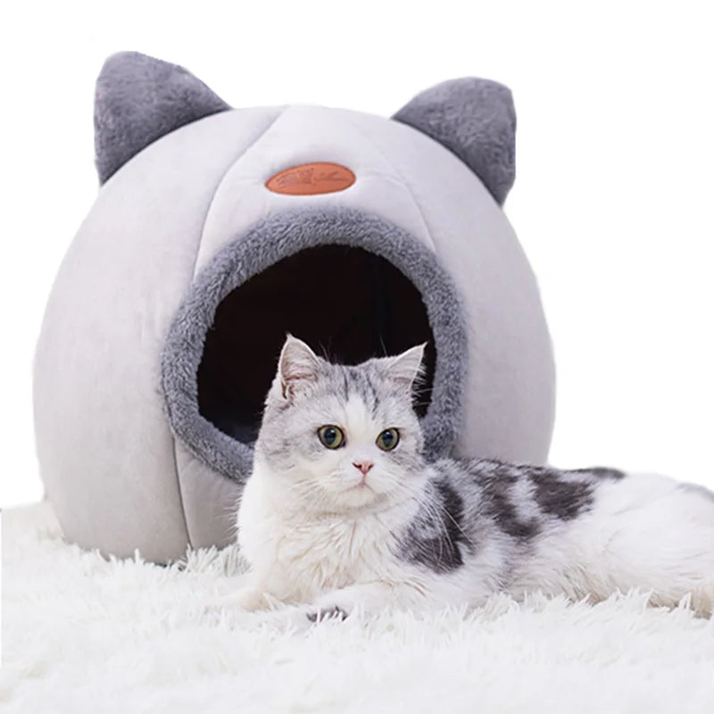 Beds & Sleep Comfort
