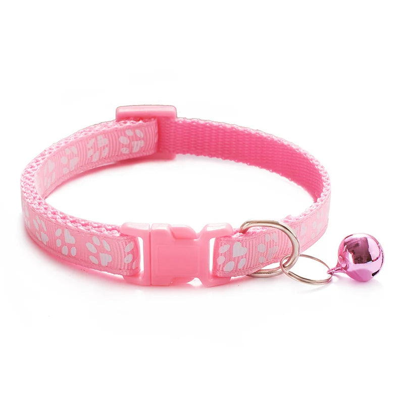 Collars & Safety Accessories