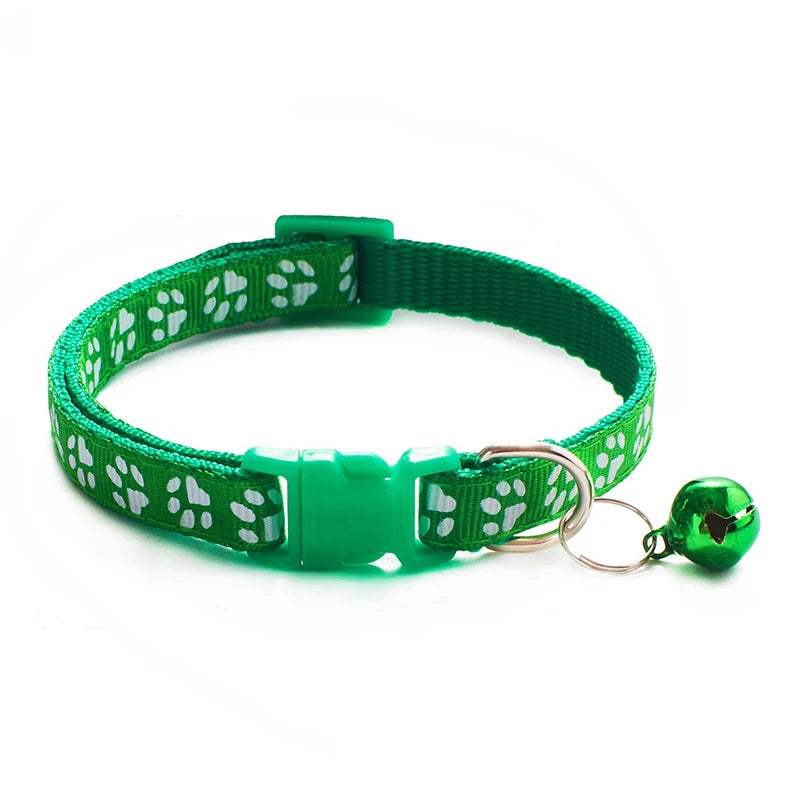 Collars & Safety Accessories