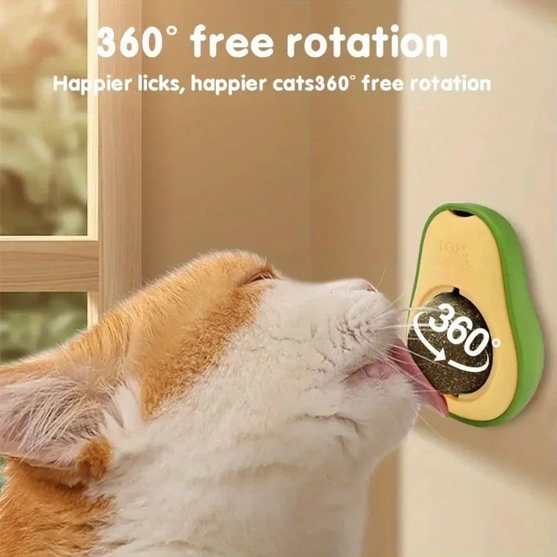 Interactive Cat Toys & Dental Enrichment