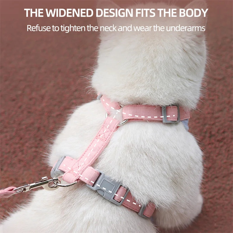 Outdoor & Walk Essentials