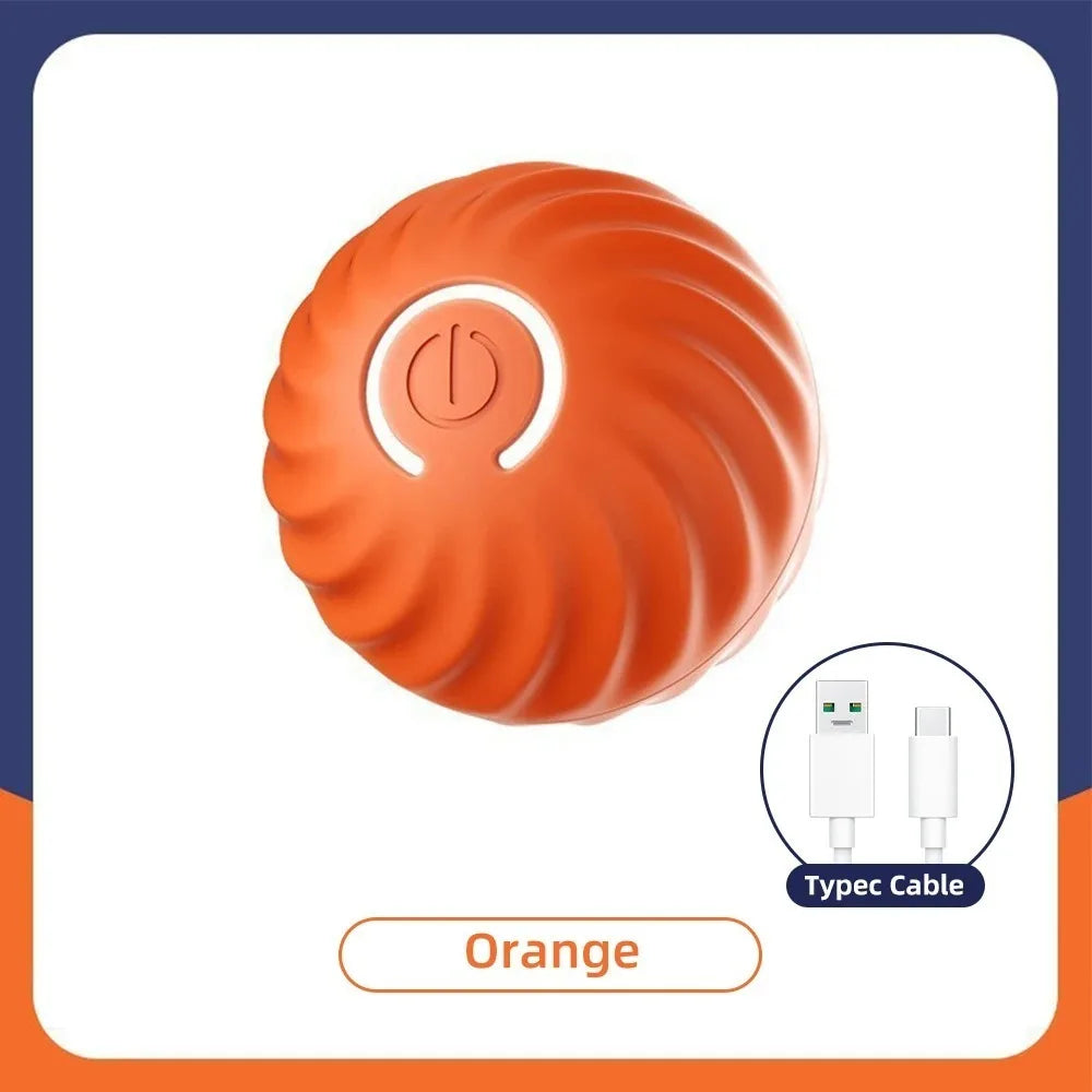 Interactive Toys & Indoor Action