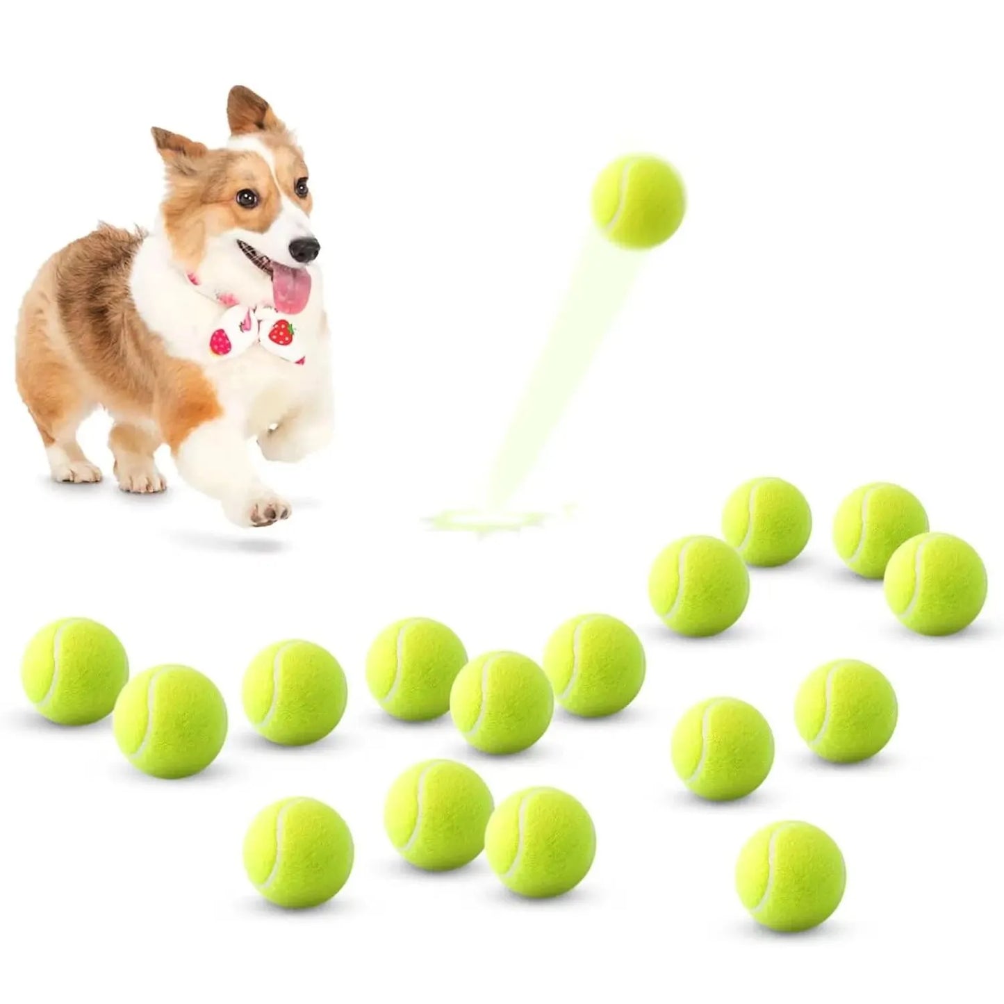 Interactive Toys & Outdoor Fun