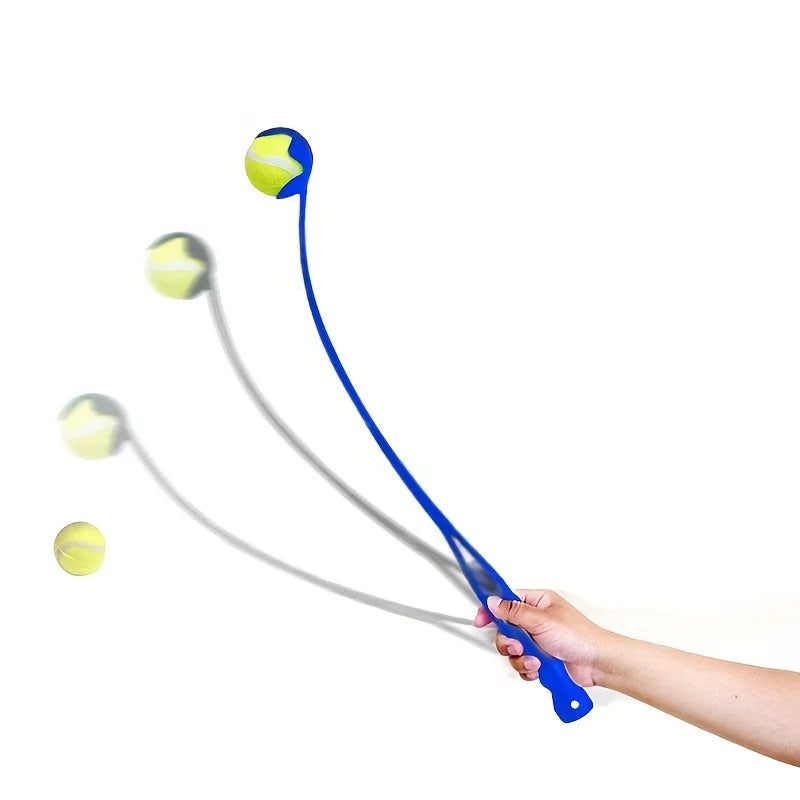 Interactive Toys & Outdoor Fun
