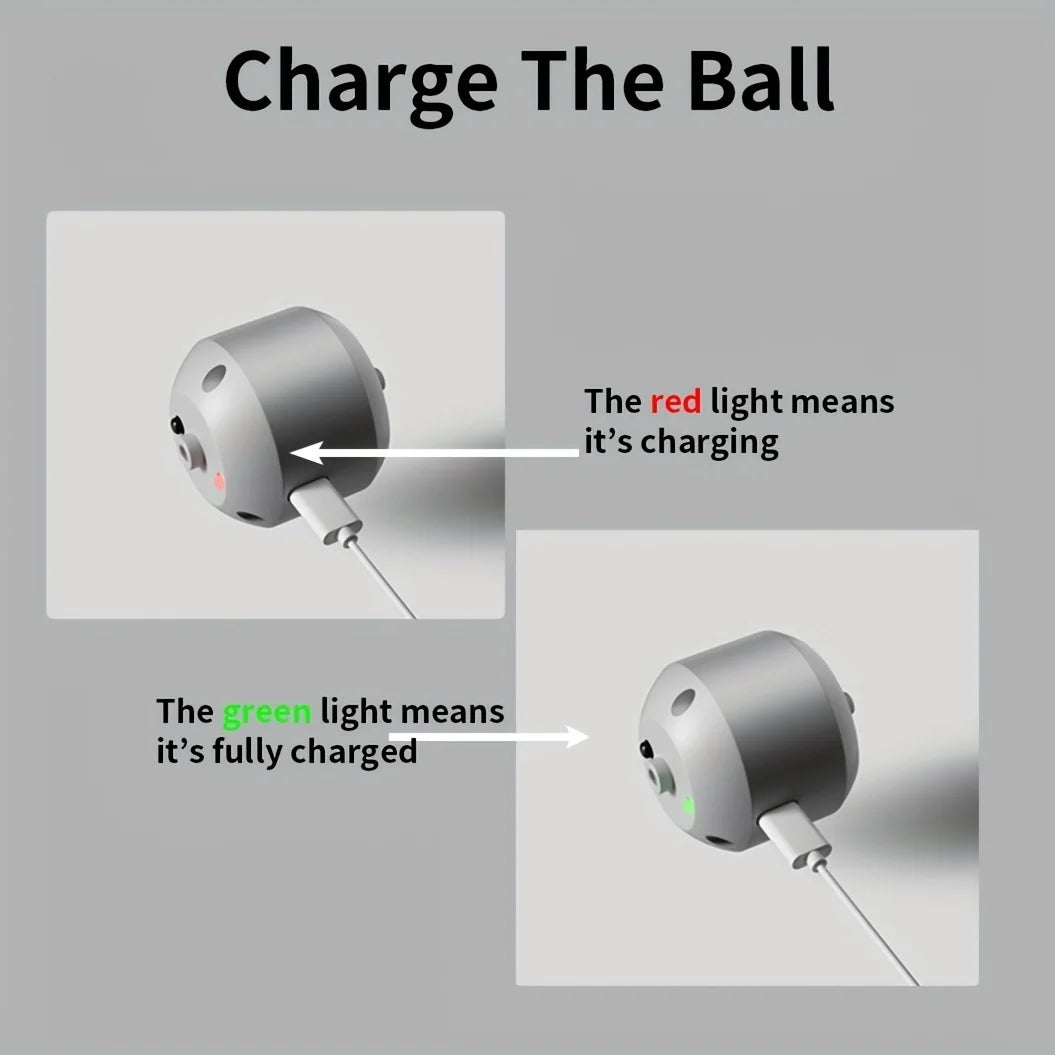 Interactive Toys & Indoor Action