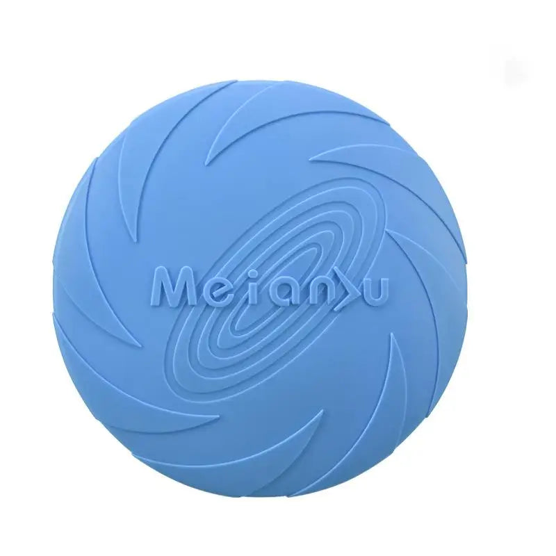 Interactive Toys & Outdoor Fun