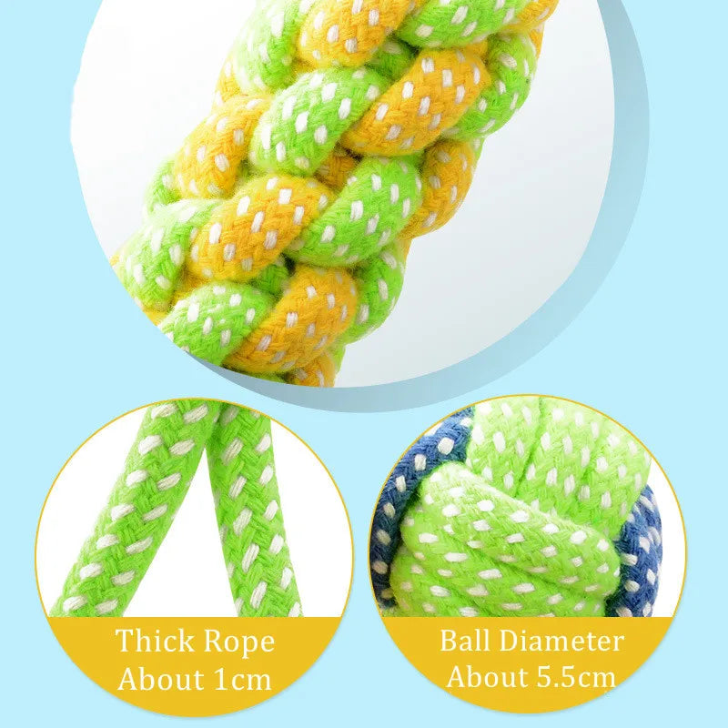 Interactive Toys & Dental Chew