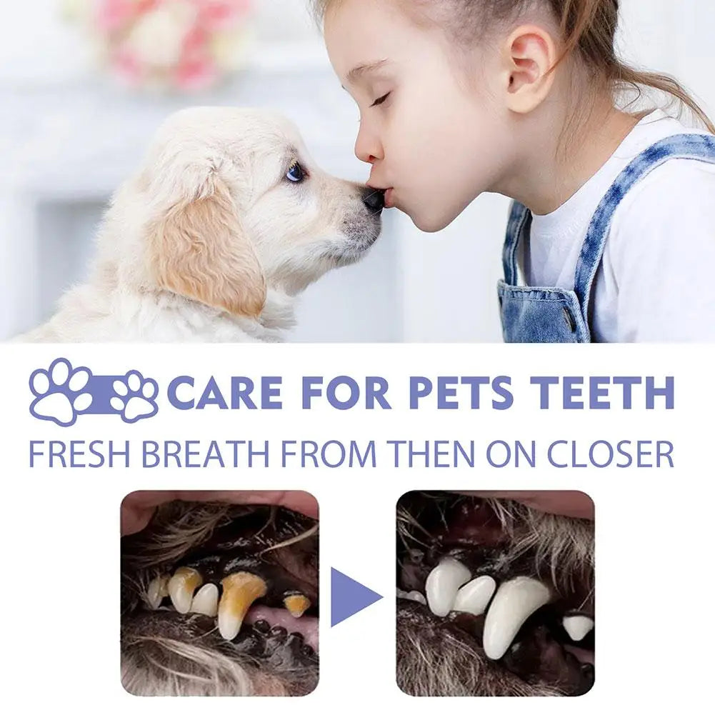Oral Hygiene & Wellbeing