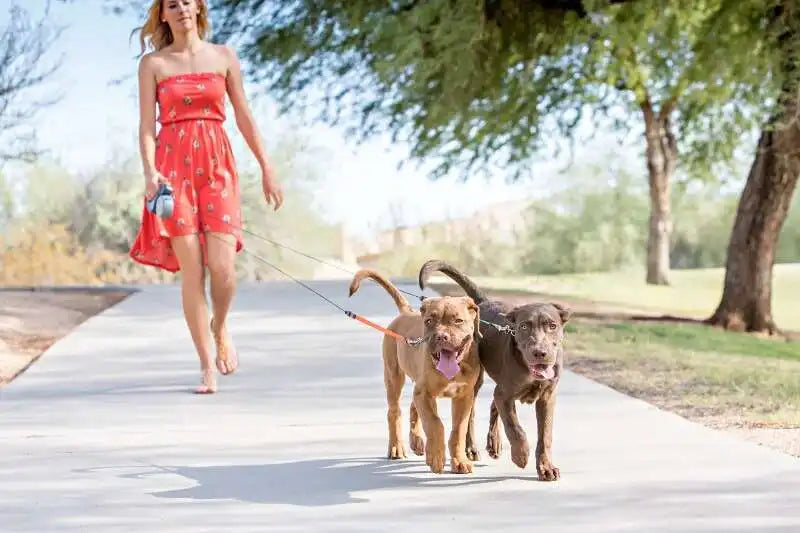 Walks & Outdoor Essentials