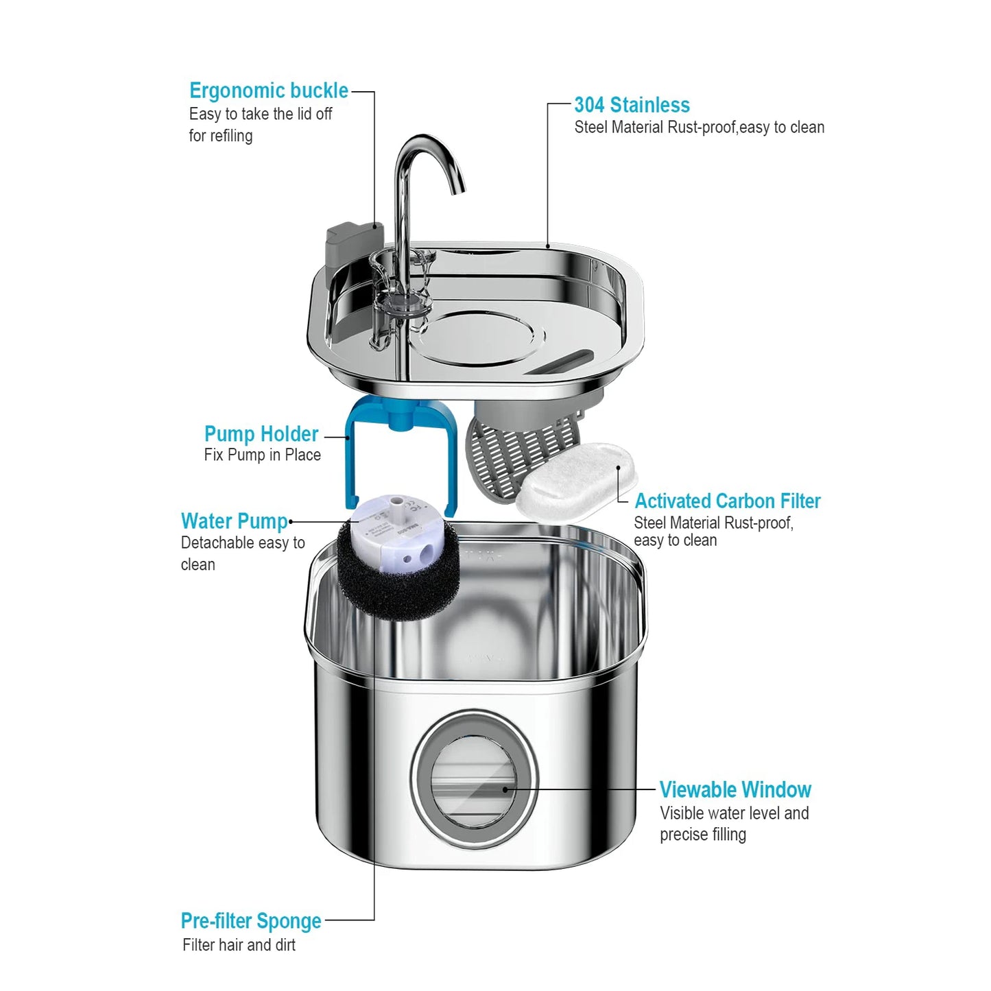 Hydration & Wellness Essentials