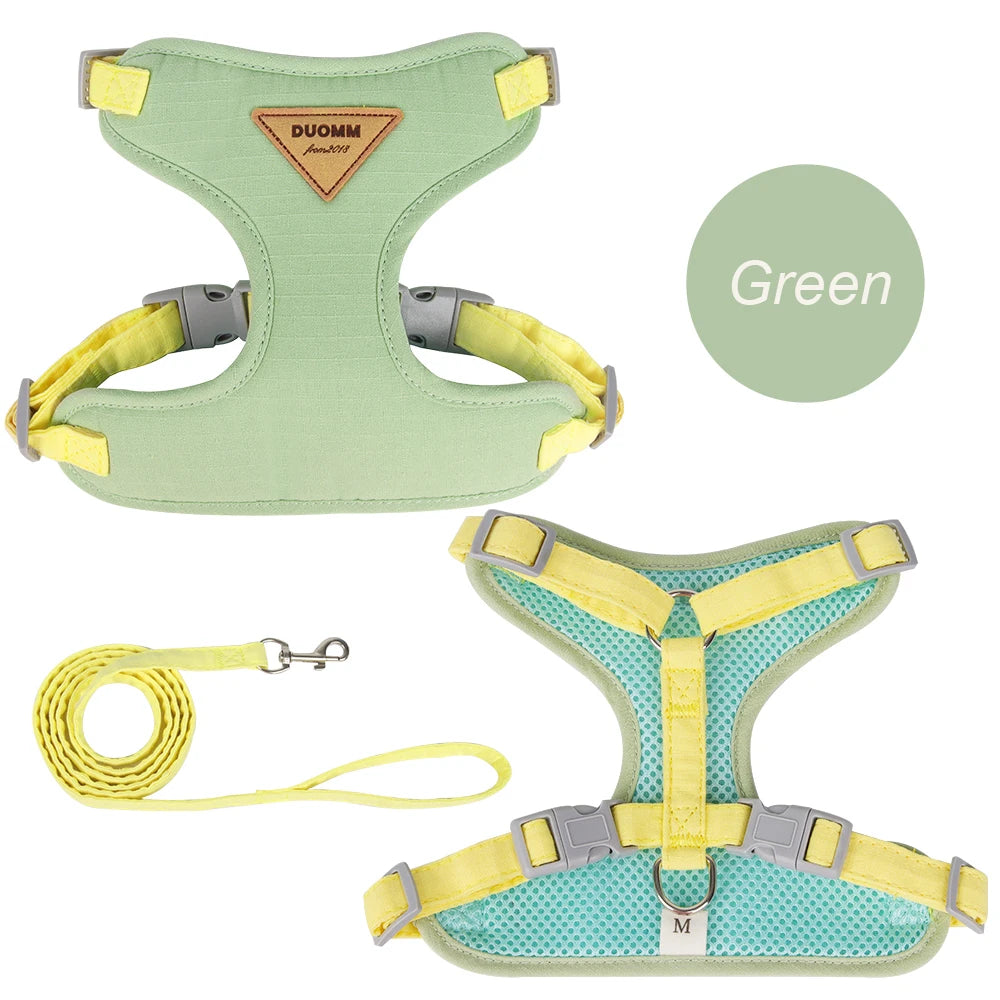 Outdoor & Walk Essentials