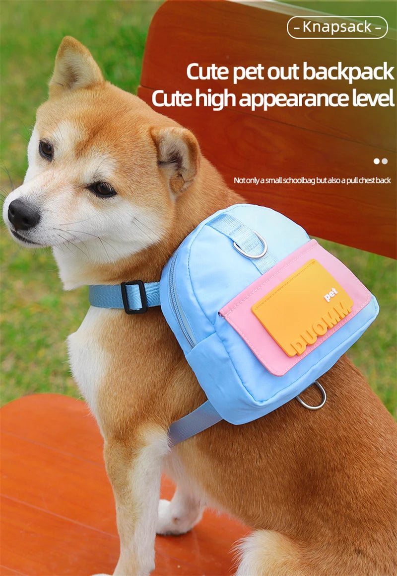 Travel & Outdoor Essentials