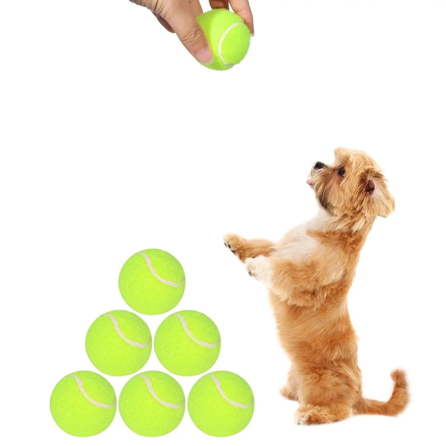 Interactive Toys & Outdoor Fun