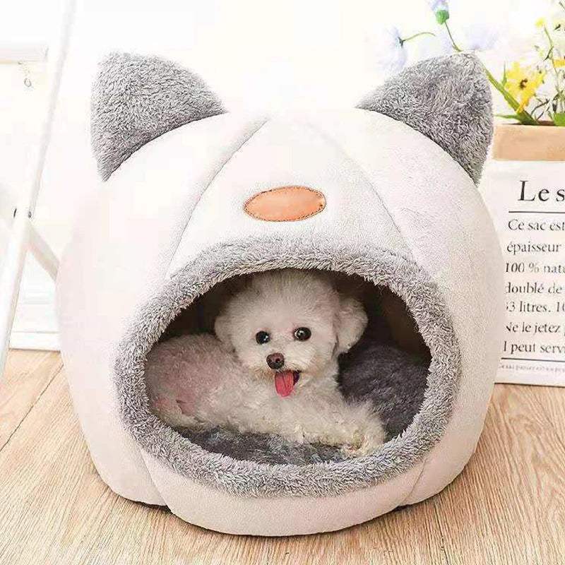 Beds & Sleep Comfort