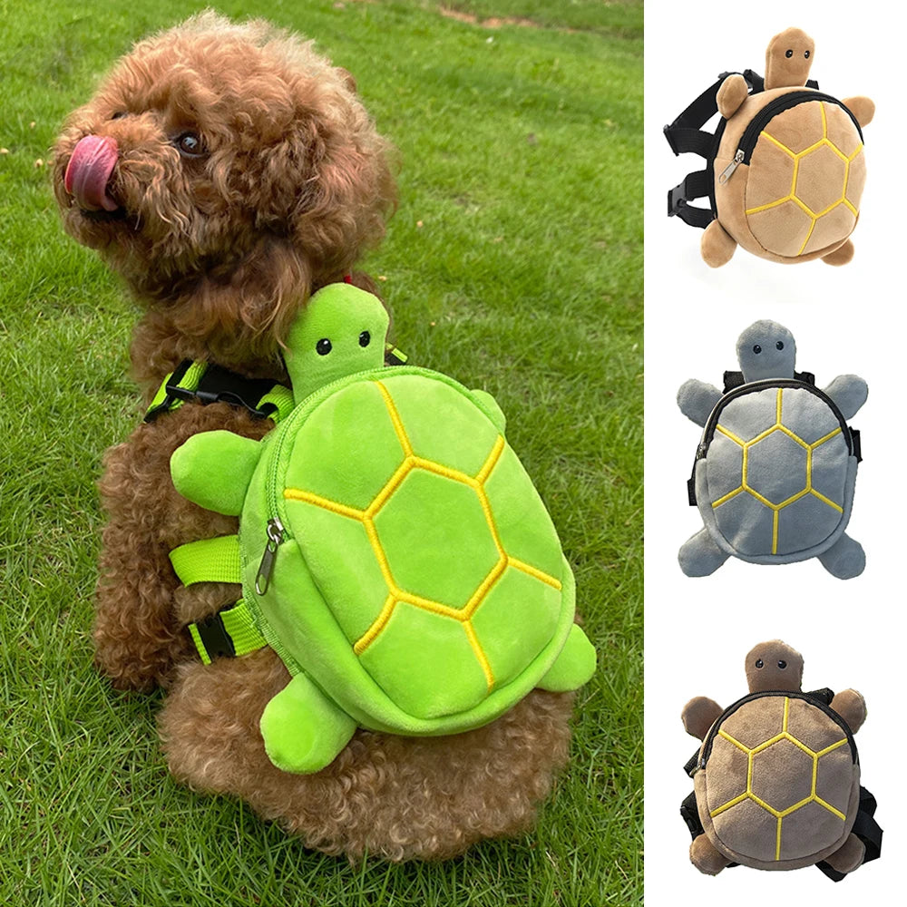 Training & Walk Accessories