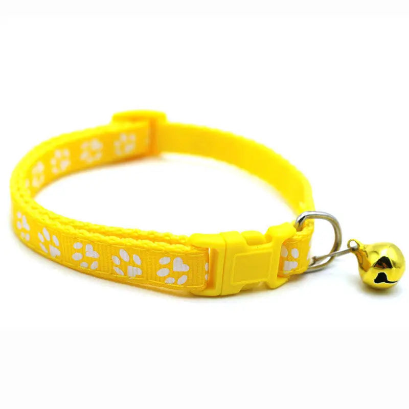 Collars & Safety Accessories