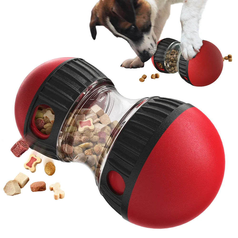 Interactive Toys & Slow-Feed Enrichment