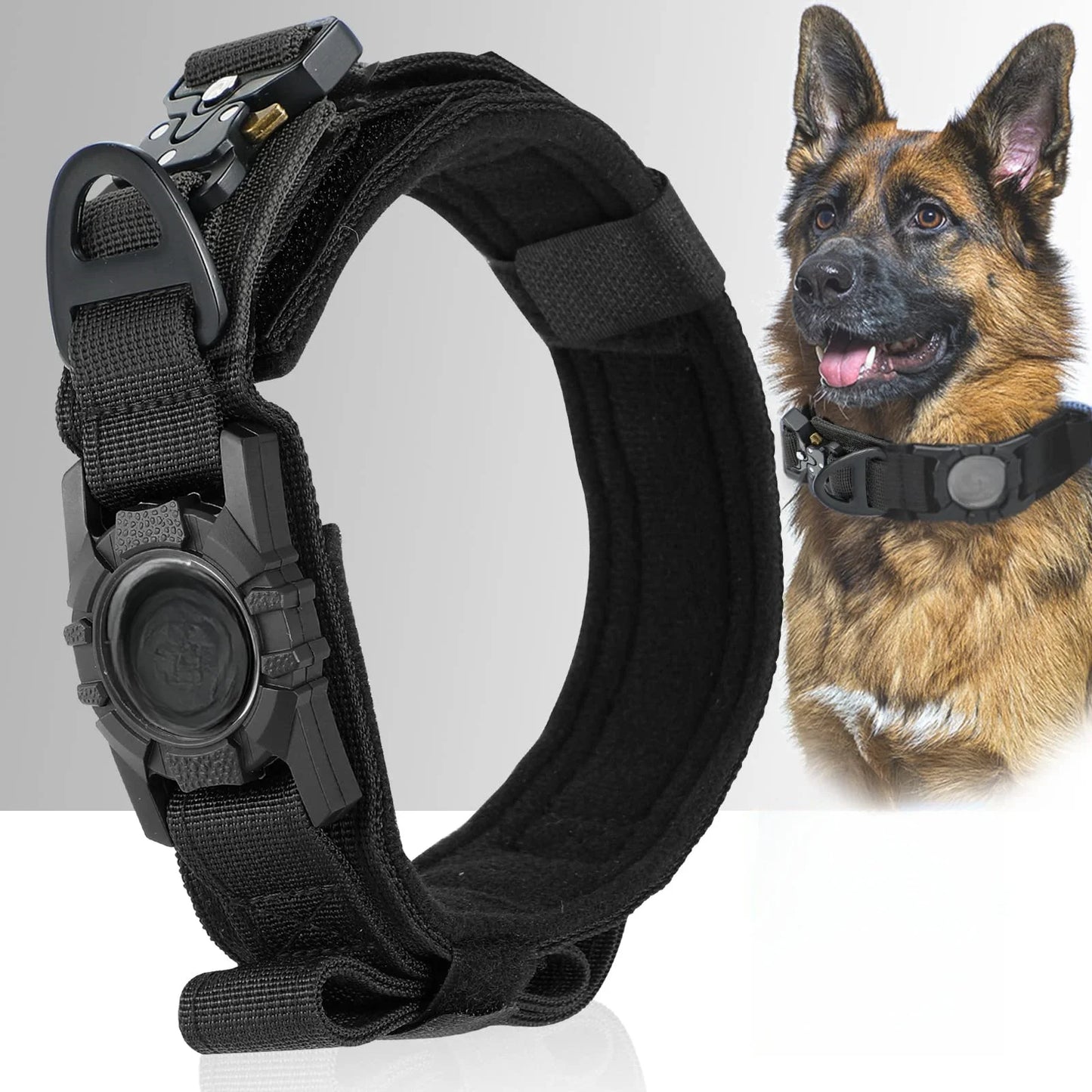 Safety & Tracking Essentials