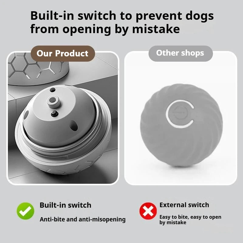 Interactive Toys & Indoor Action
