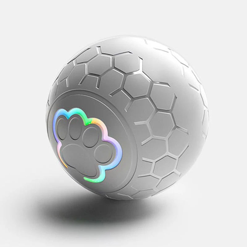 Interactive Toys & Indoor Action