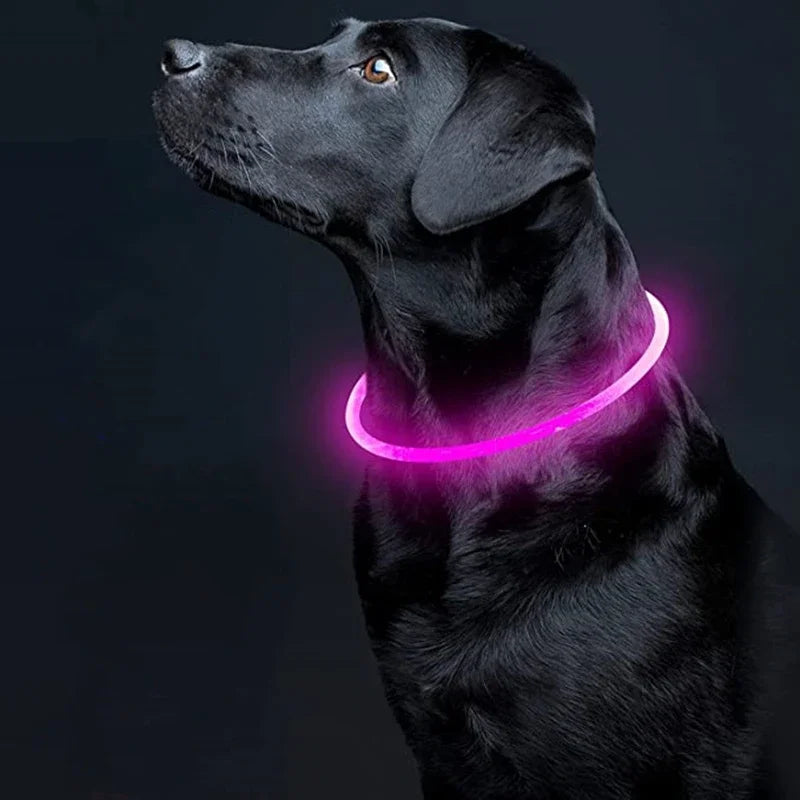 Visibility & Safety Accessories