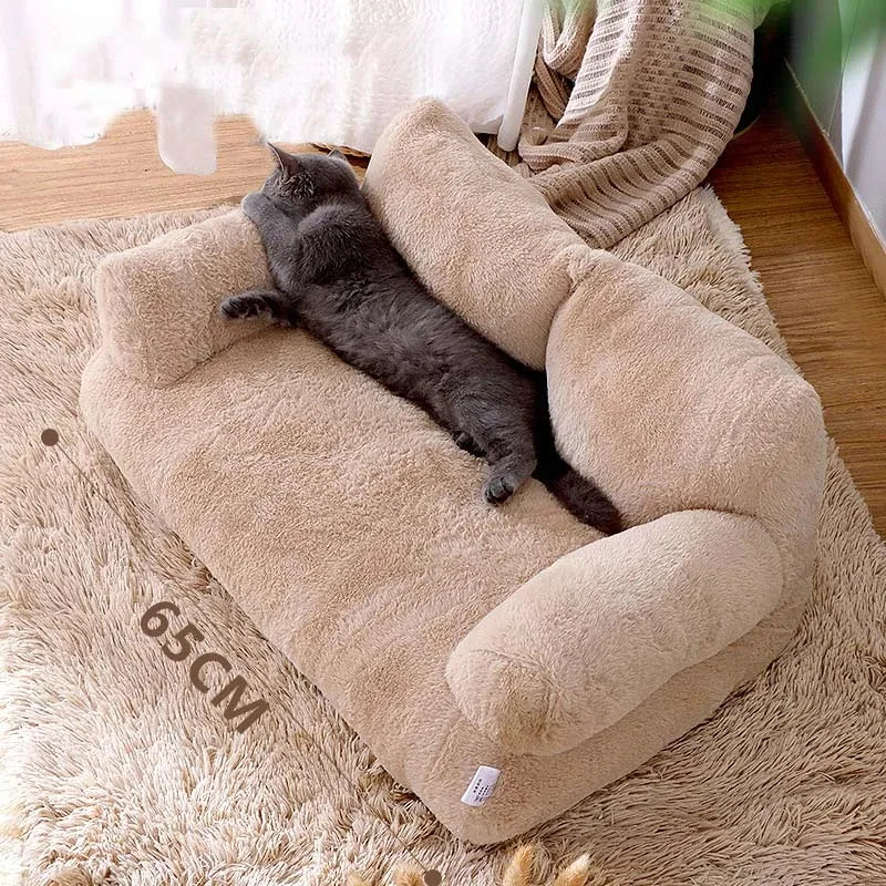 Beds & Sleep Comfort