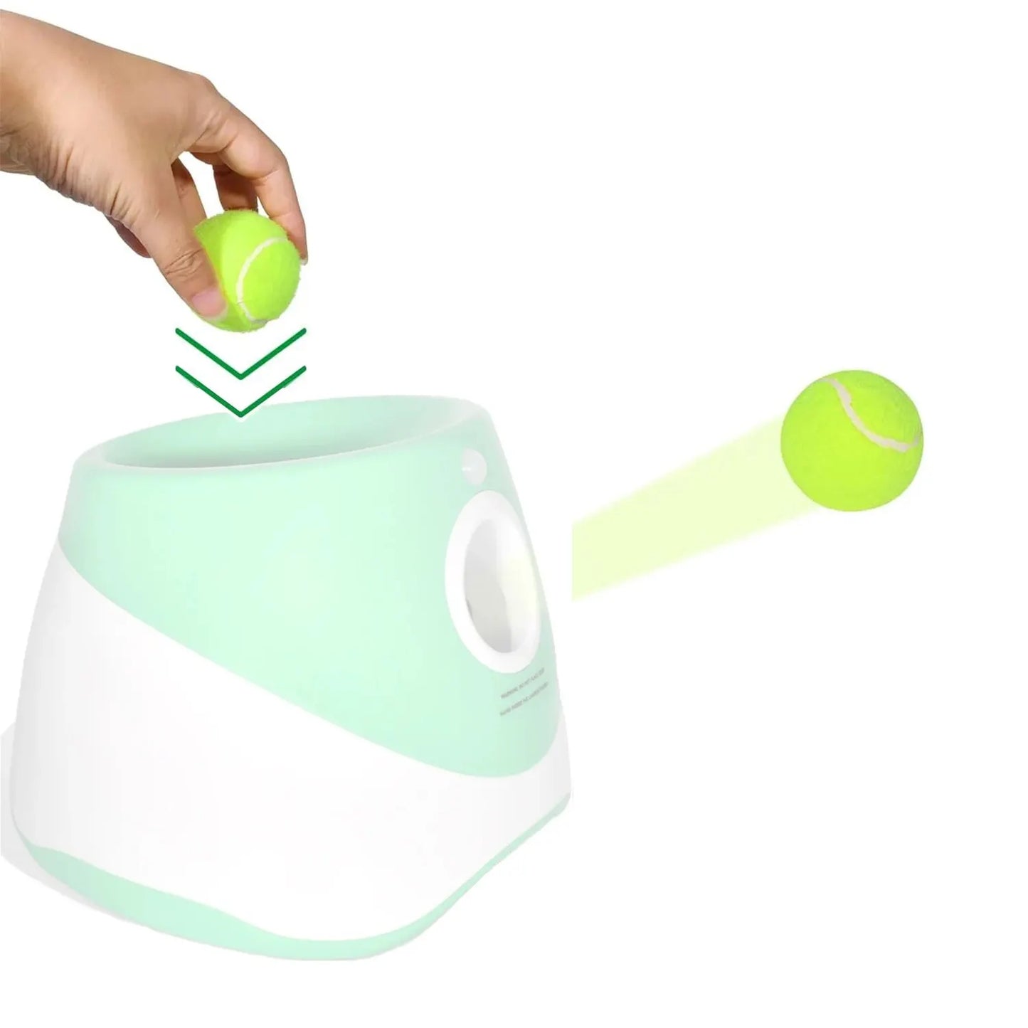 Interactive Toys & Outdoor Fun