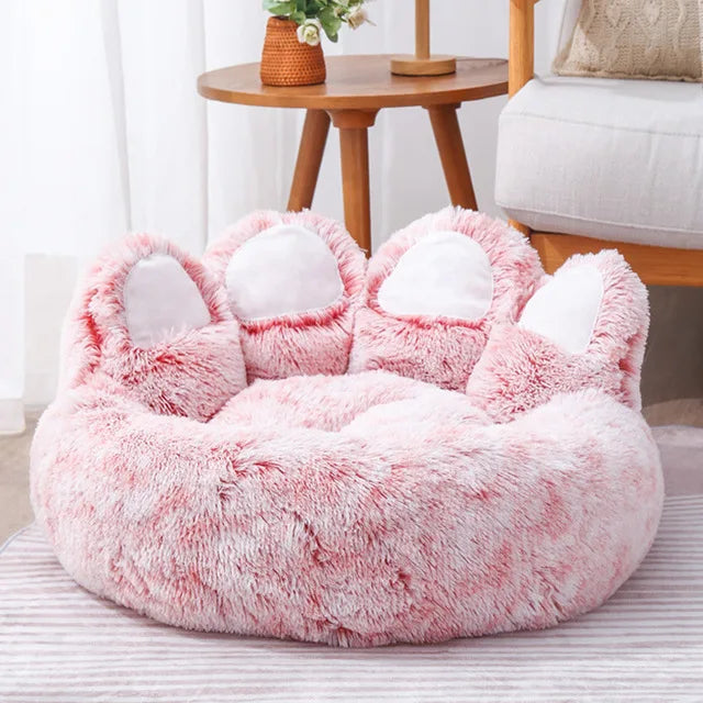 Beds & Sleep Comfort