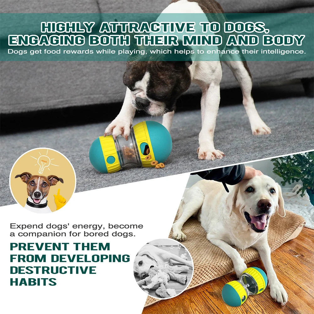Interactive Toys & Slow-Feed Enrichment