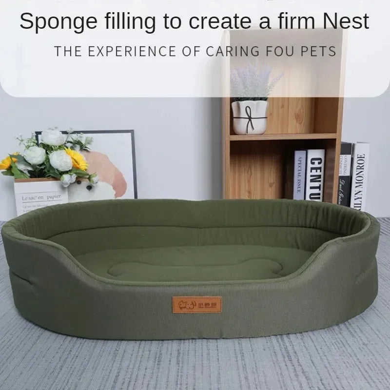 Beds & Sleep Comfort