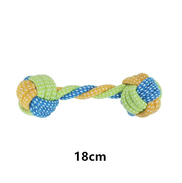Interactive Toys & Dental Chew